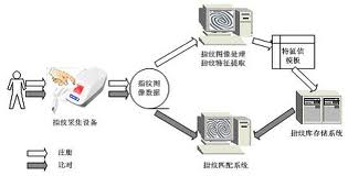 指纹识别技术优点与缺点