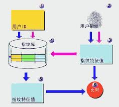 指纹识别技术采集技术