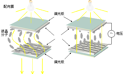 液晶原理