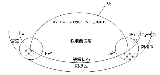 浓差电池是什么？