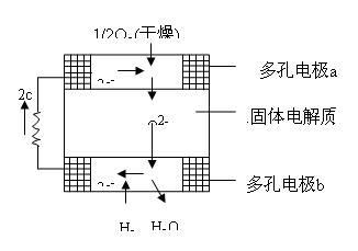 电极反应式