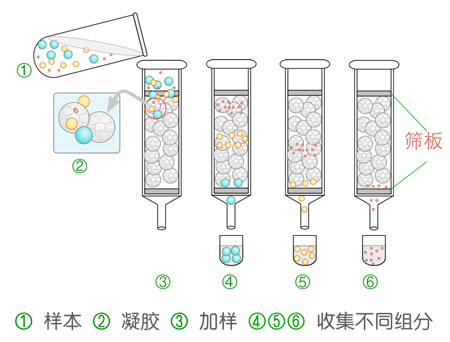 薄层层析法原理