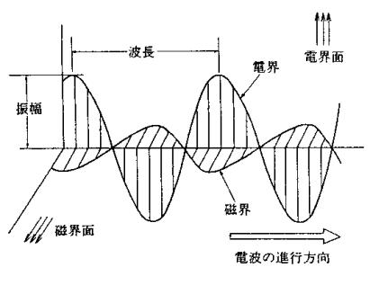 手机电磁波对人体有哪些危害？