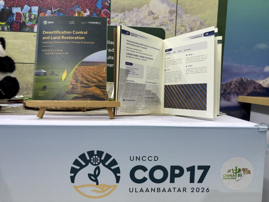 板上發電、板下放牧：BOE（京東方）荒漠化防治解決方案亮相UNCCD COP17