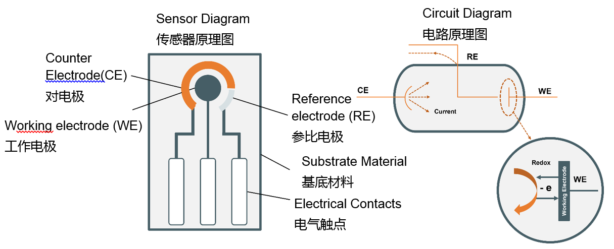 電化學感知技術(shù)的新時代