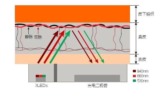 揭秘：可穿戴健身設(shè)備的