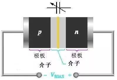 二極管的分類與選型