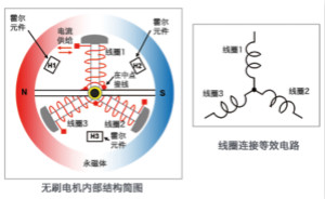 三相全波無(wú)刷電機(jī)的結(jié)構(gòu)