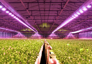 艾邁斯歐司朗與Energous攜手開發無線供電多光譜傳感解決方案，助力農業傳感應用