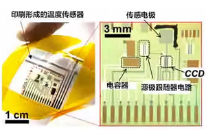 日本首次研发出高灵敏度柔性pH传感器