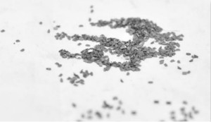 麦捷科技量产01005电感，满足智能手机对电感小型集成化需求