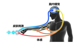 村田将收购MIRAISENS公司，将触力觉应用于各种产业领域