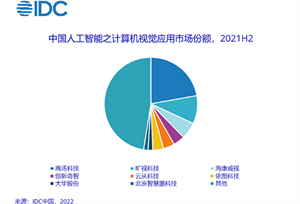 2021年中国人工智能软件及应用市场规模达52.8亿美元