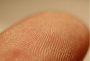 日本研制出新型电容图像传感器 让指纹识别更灵敏